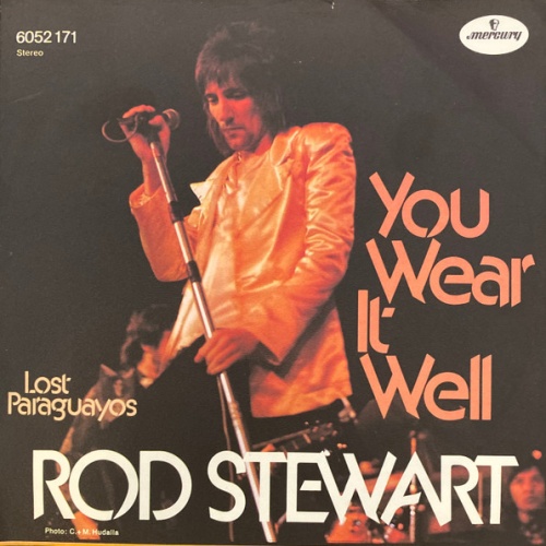 Vinyl / Rod Stewart - You Wear It Well