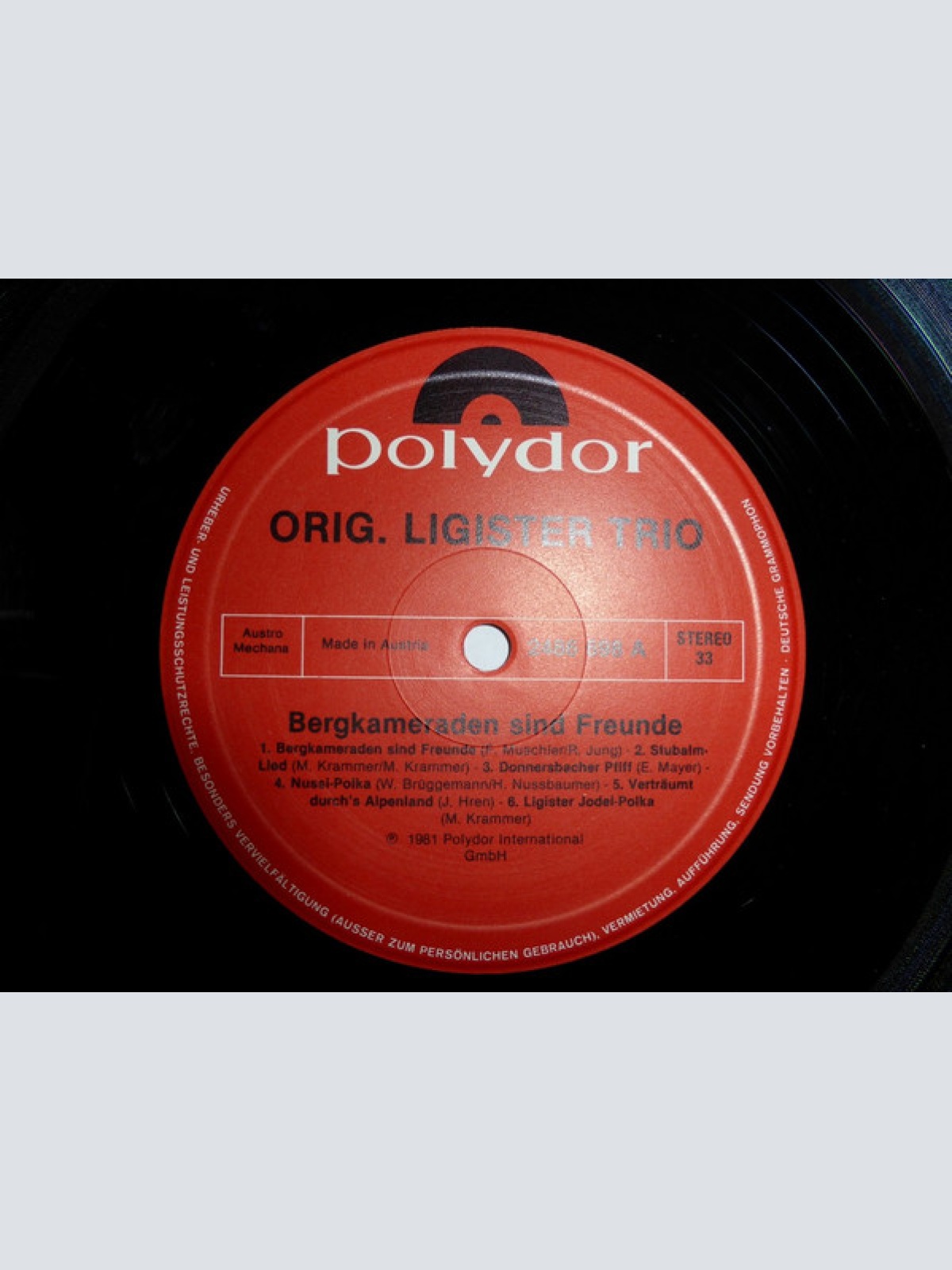 Vinyl / Ewald Münzer und sein erfolgreiches Ligister Trio* mit Hias - Bergkameraden sind Freunde