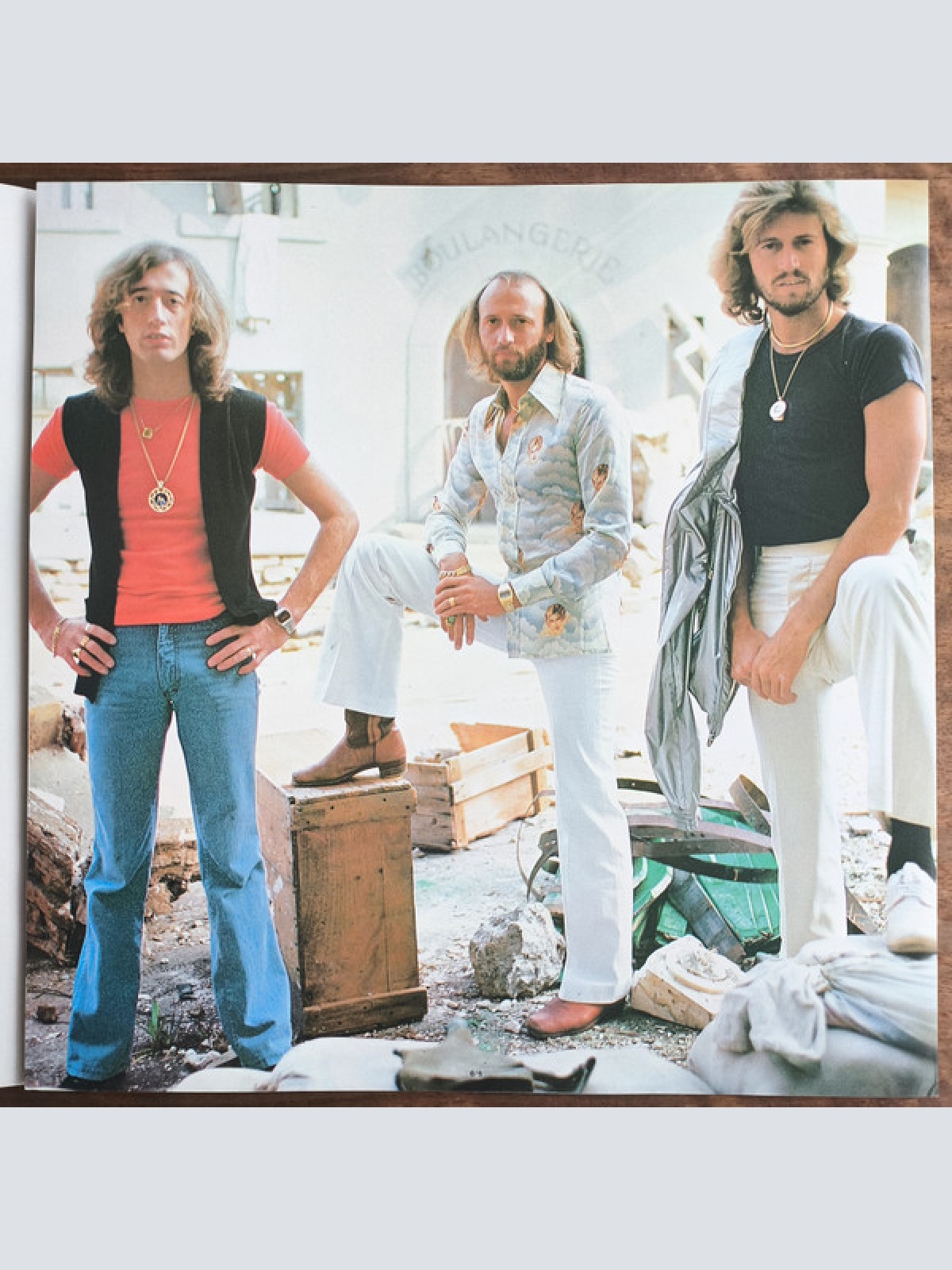 Vinyl / Bee Gees - Spirits Having Flown