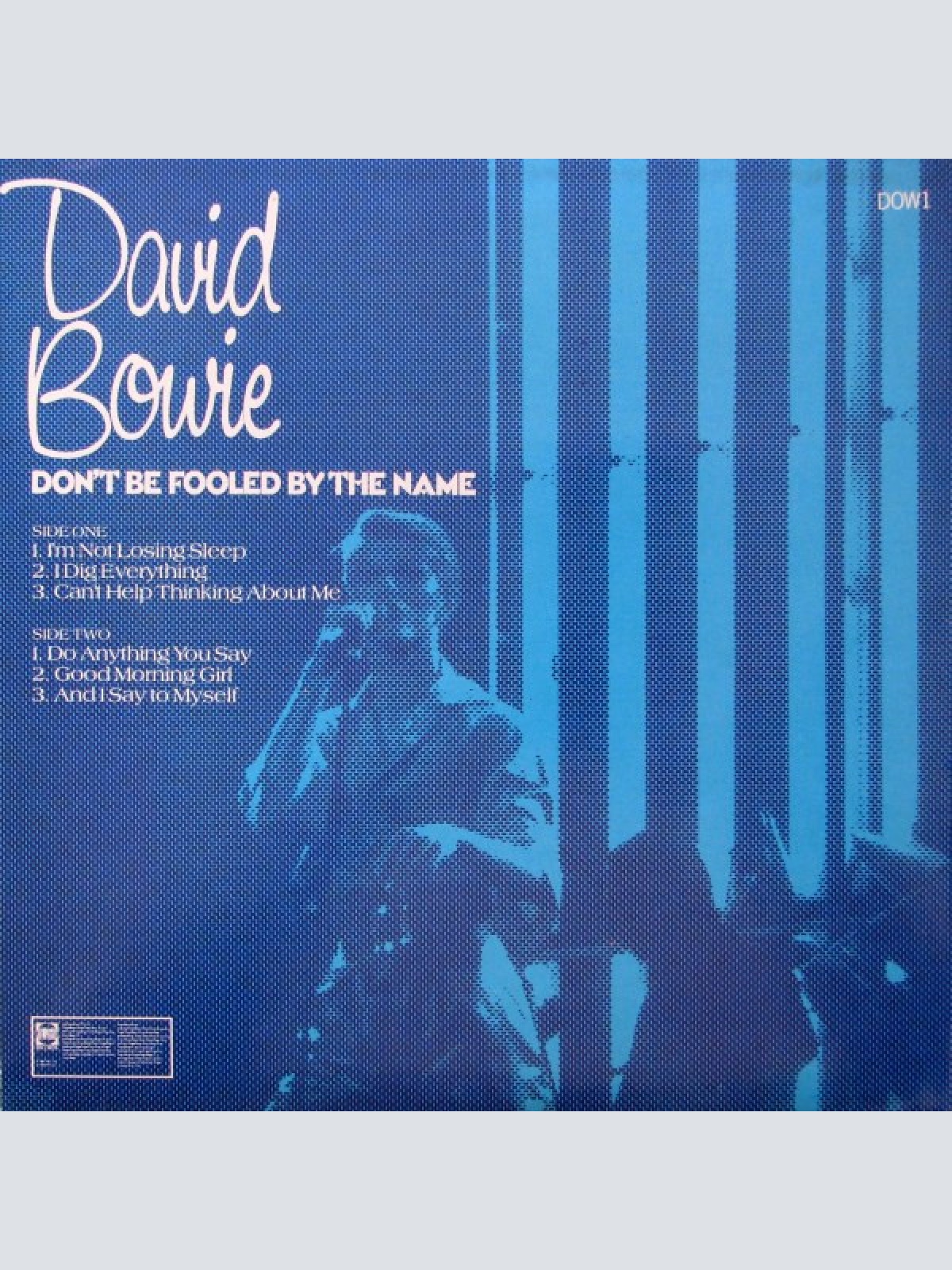 Vinyl / David Bowie - Don't Be Fooled By The Name