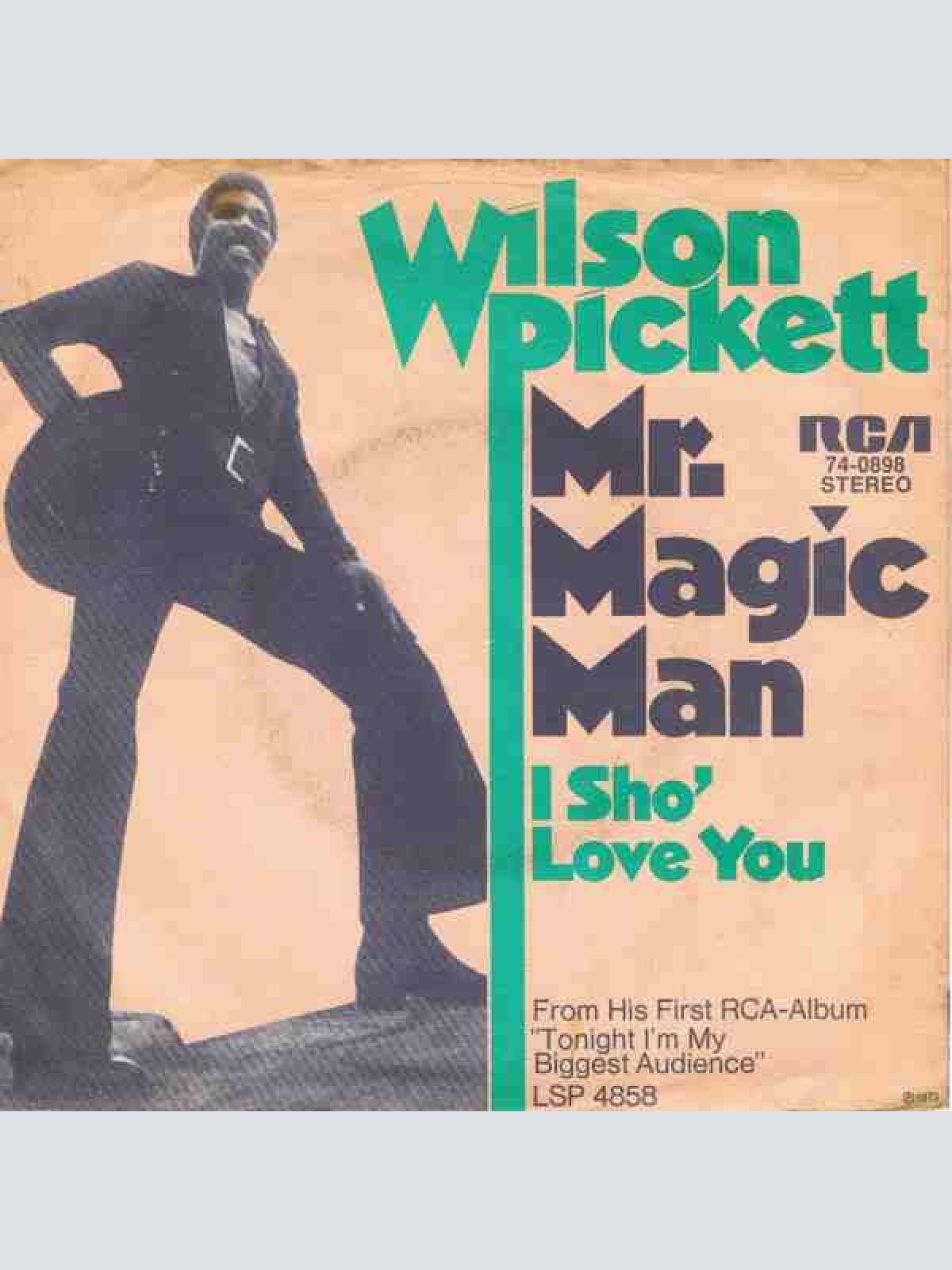 Vinyl / Wilson Pickett - Mr. Magic Man