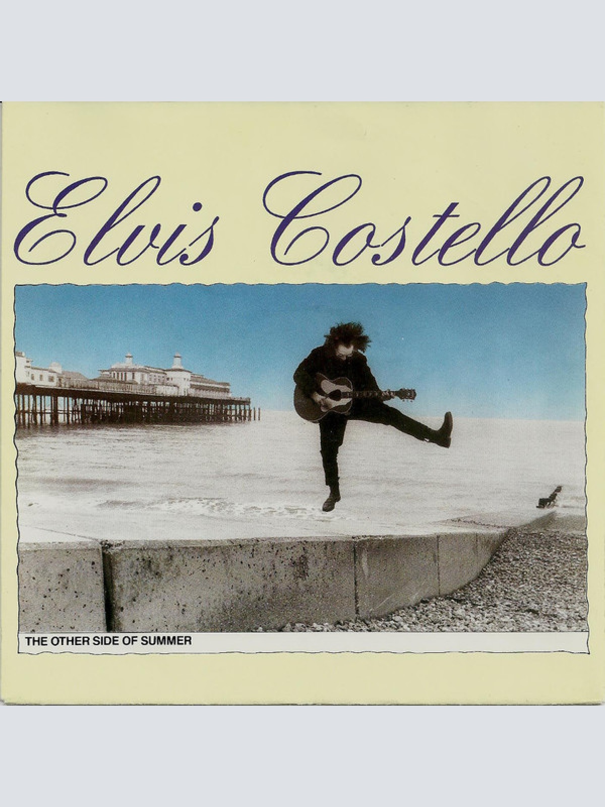 Vinyl / Elvis Costello - The Other Side Of Summer