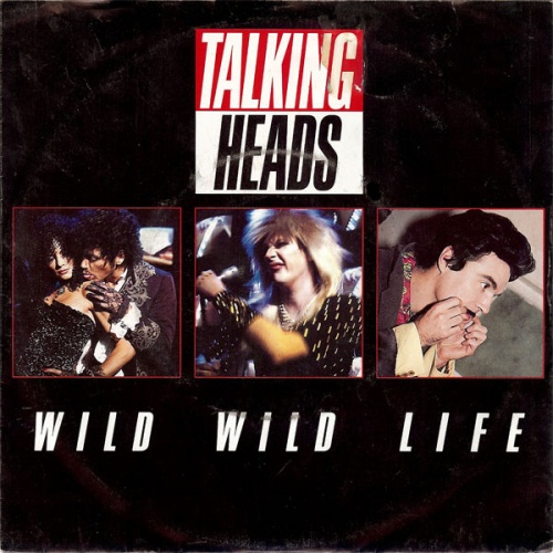 Vinyl / Talking Heads - Wild Wild Life