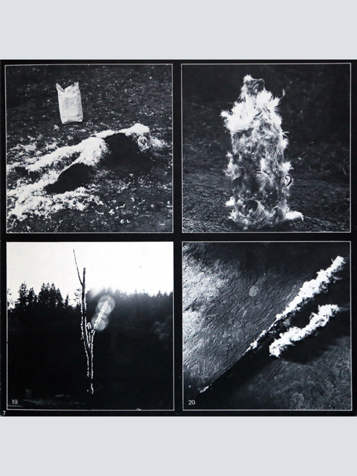 Vinyl / Othmar Krenn - Waldaktion - Steirischer Herbst '79