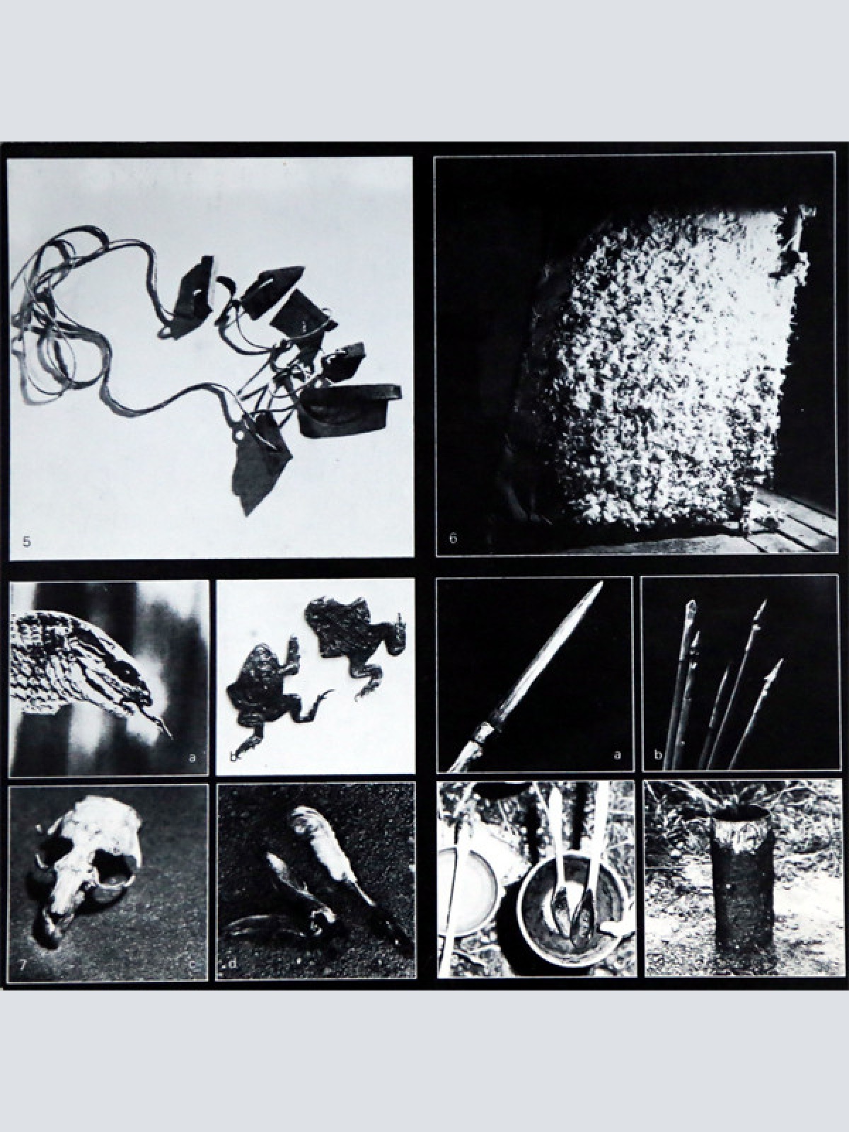 Vinyl / Othmar Krenn - Waldaktion - Steirischer Herbst '79