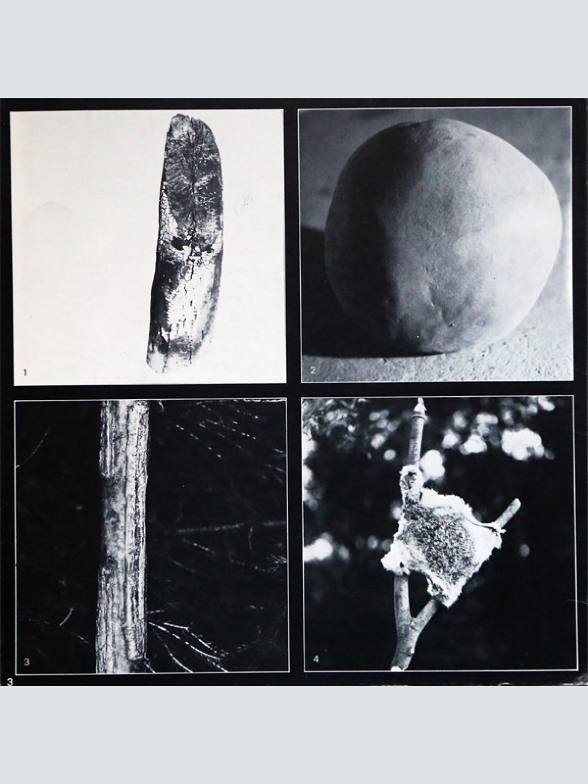 Vinyl / Othmar Krenn - Waldaktion - Steirischer Herbst '79