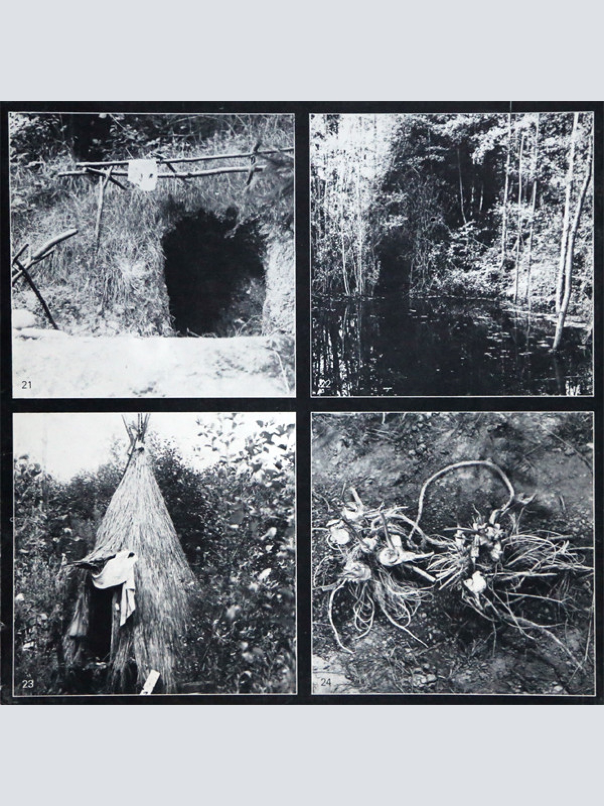 Vinyl / Othmar Krenn - Waldaktion - Steirischer Herbst '79