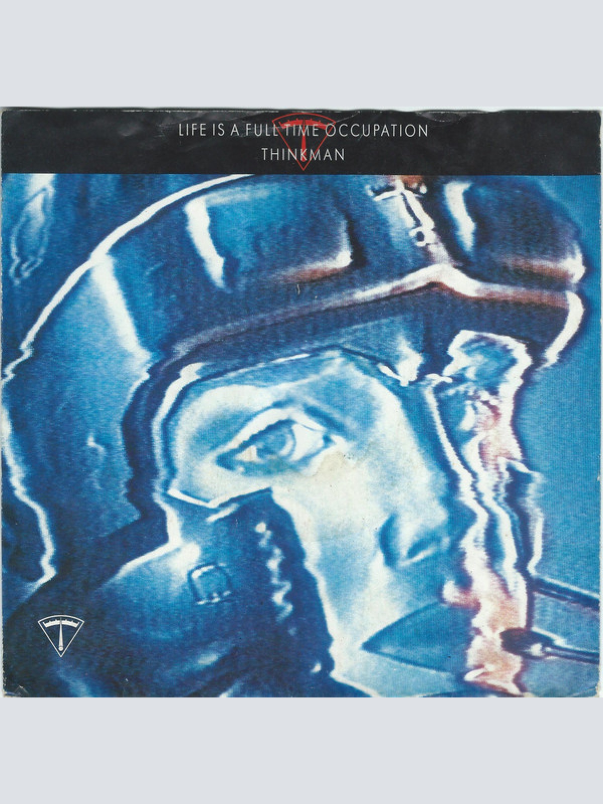 Vinyl / Thinkman - Life Is A Full Time Occupation