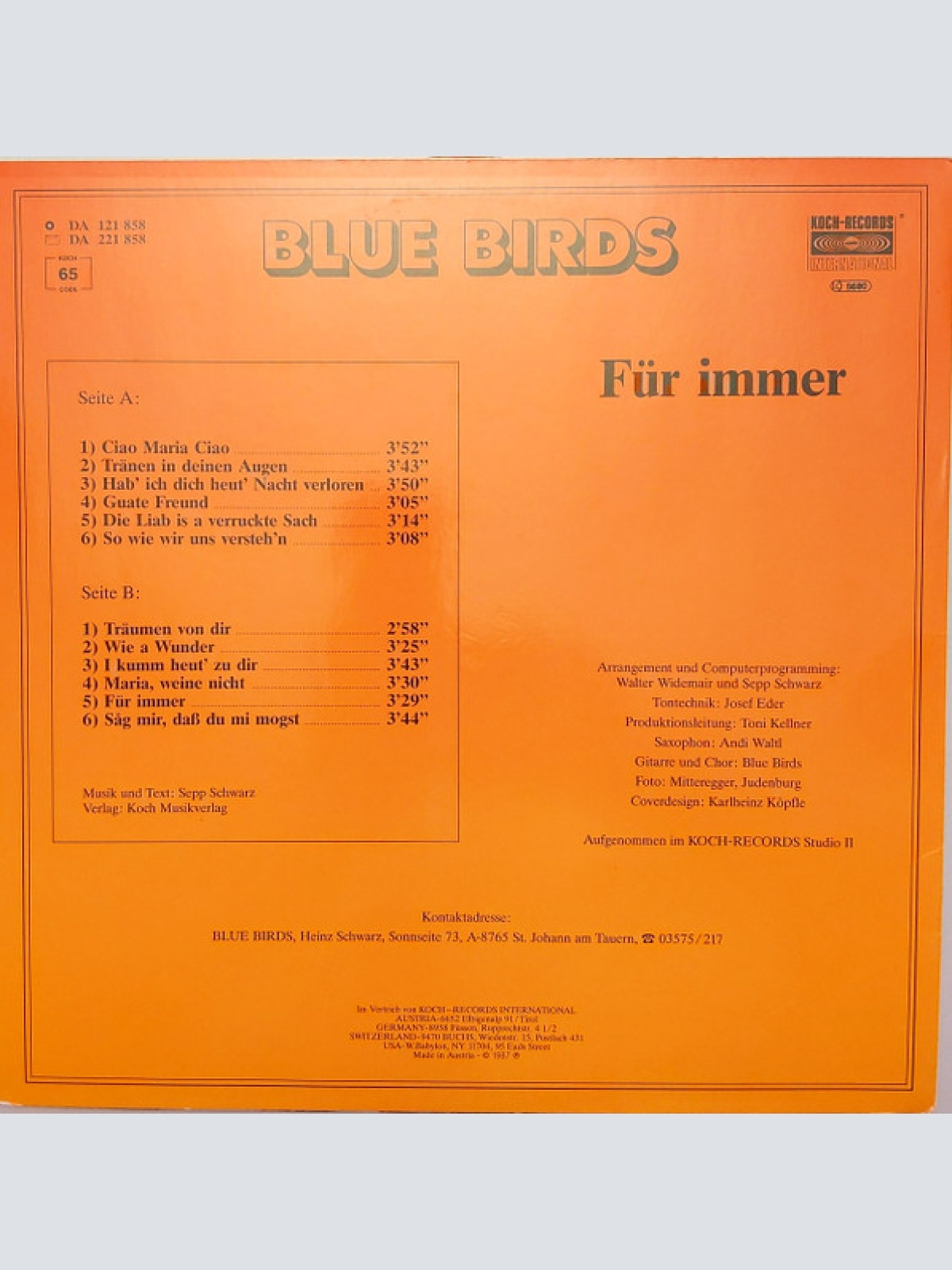 Vinyl / Blue Birds (2) - Für Immer