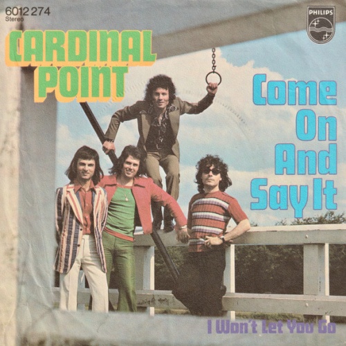 Vinyl / Cardinal Point - Come On And Say It