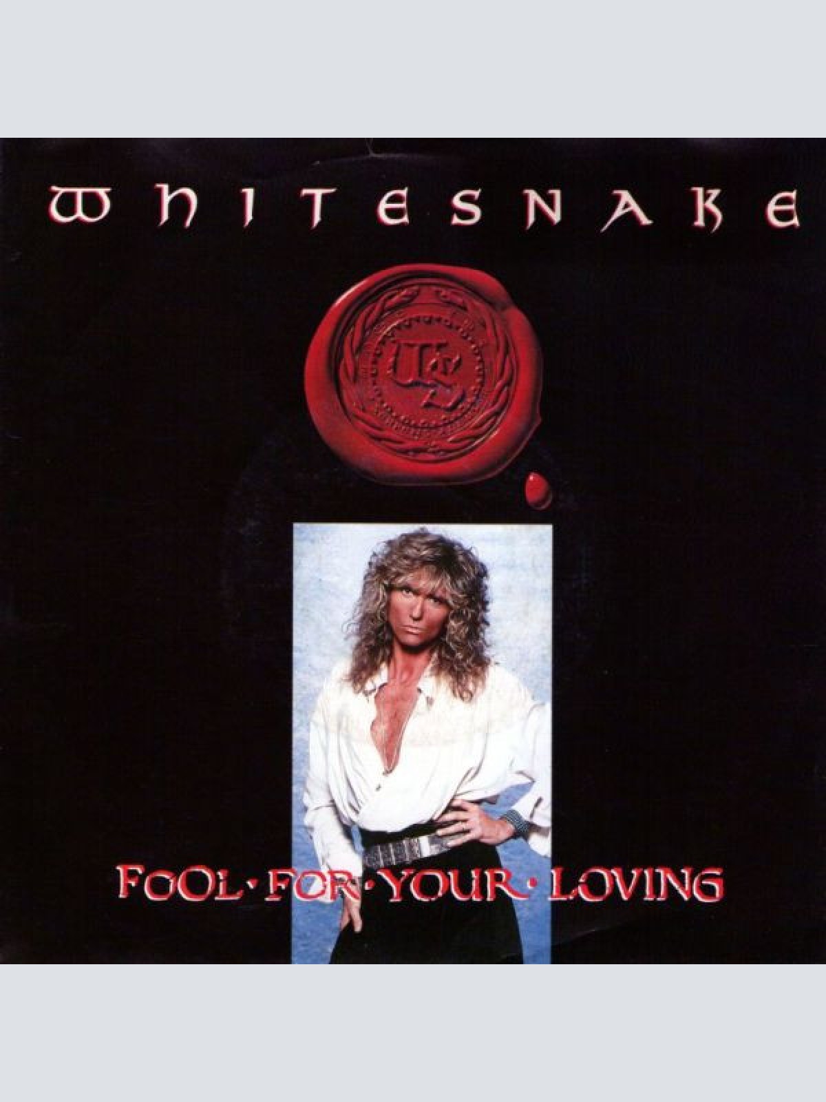 Vinyl / Whitesnake - Fool For Your Loving