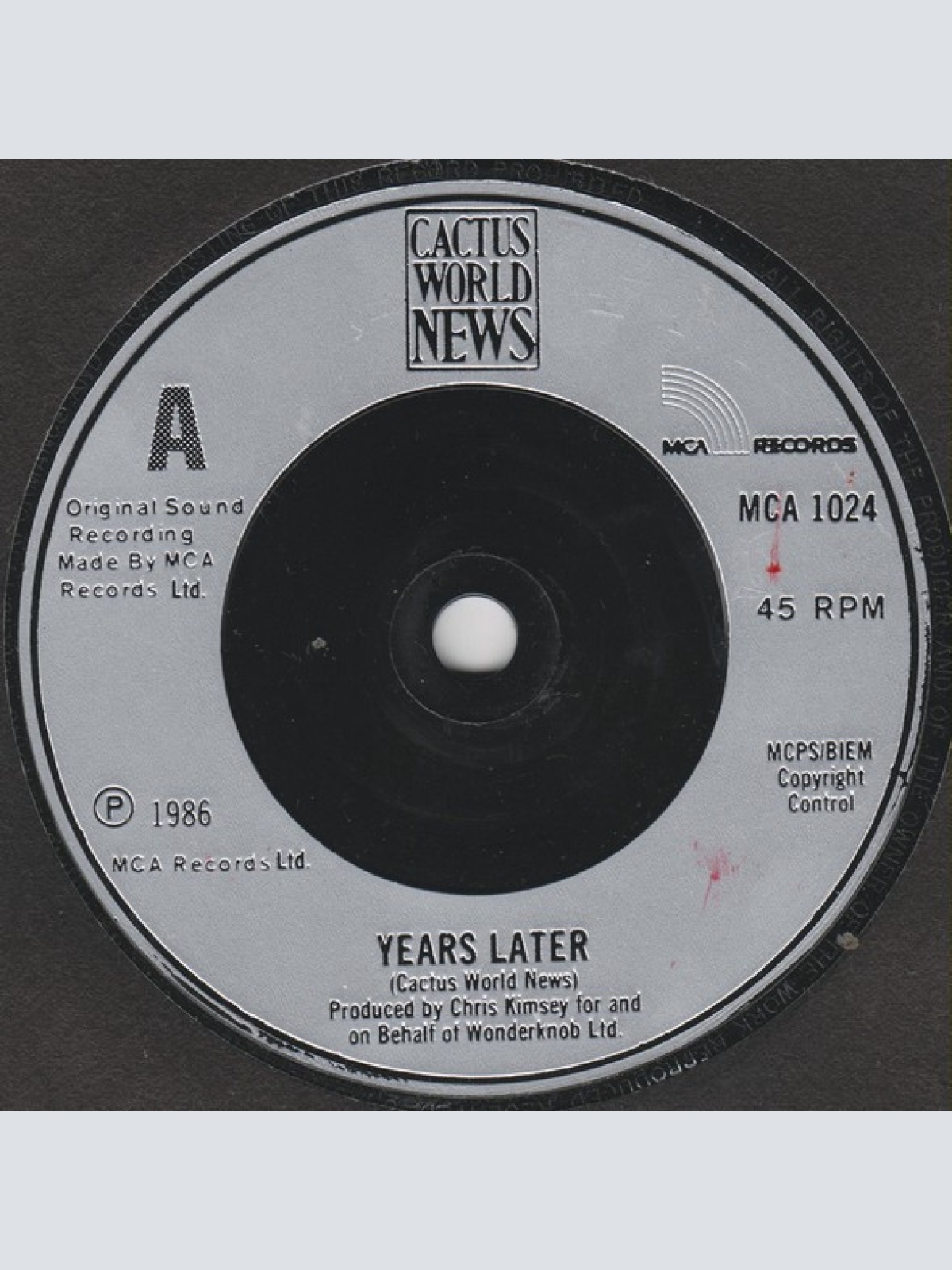 Vinyl / Cactus World News - Years Later