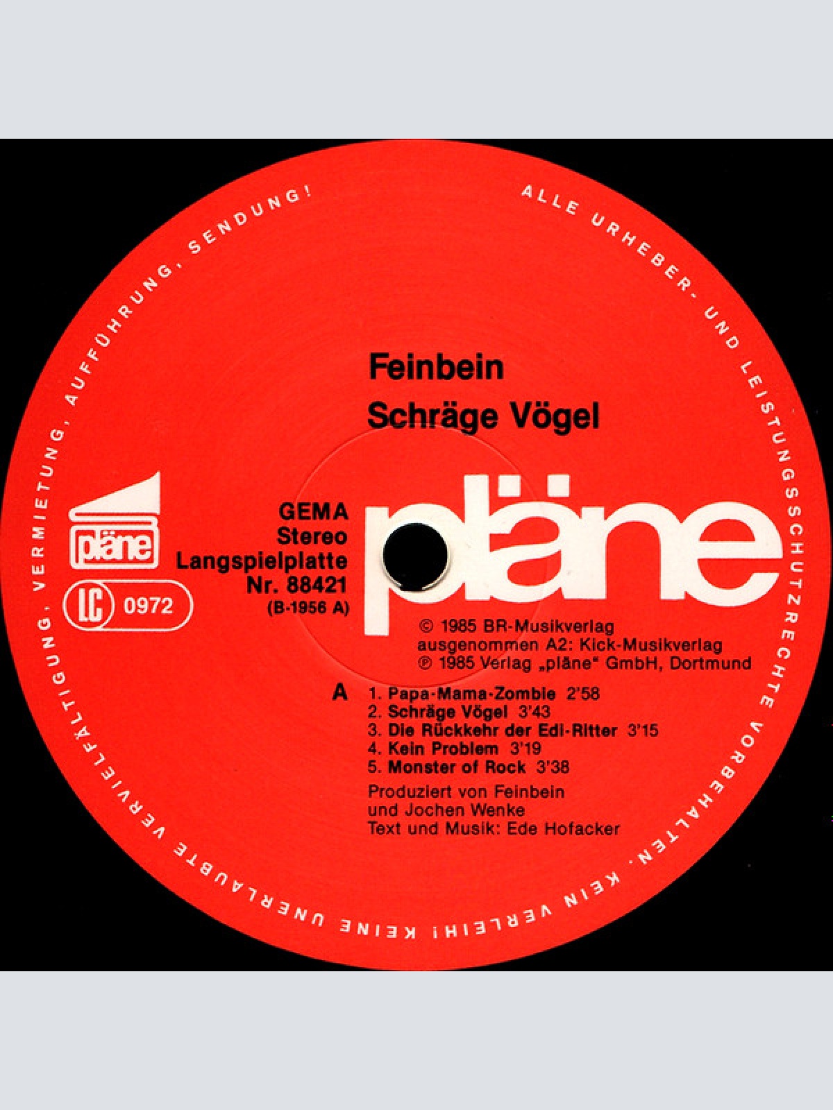 Vinyl / Feinbein - Schräge  Vögel