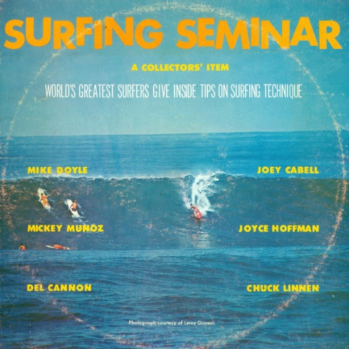 Vinyl / Various - Surfing Seminar - A Collectors' Item