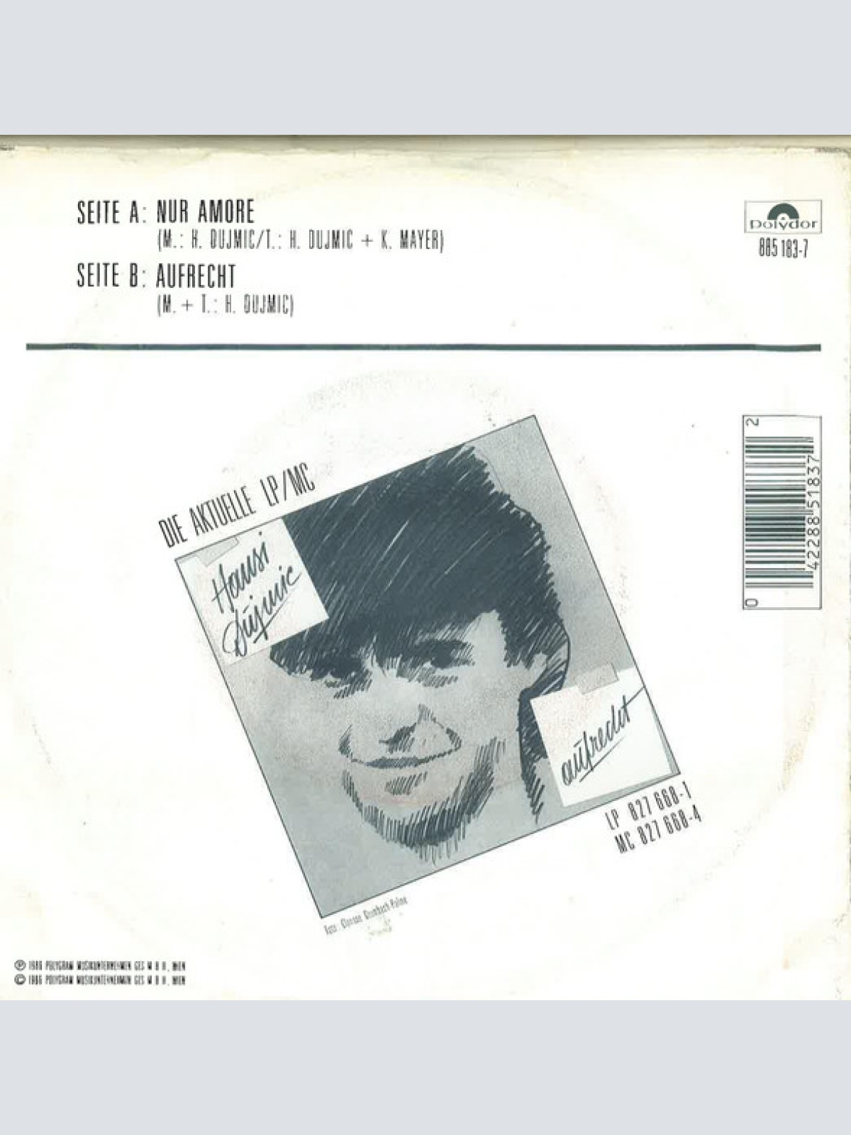 Vinyl / Hans Dujmic - Nur Amore