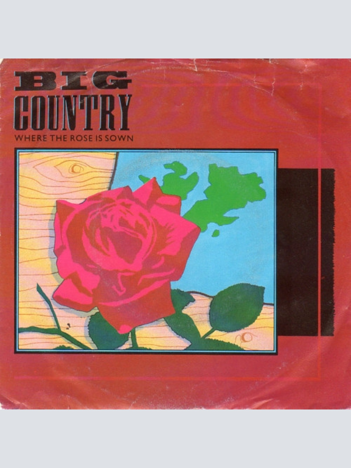 Vinyl / Big Country - Where The Rose Is Sown