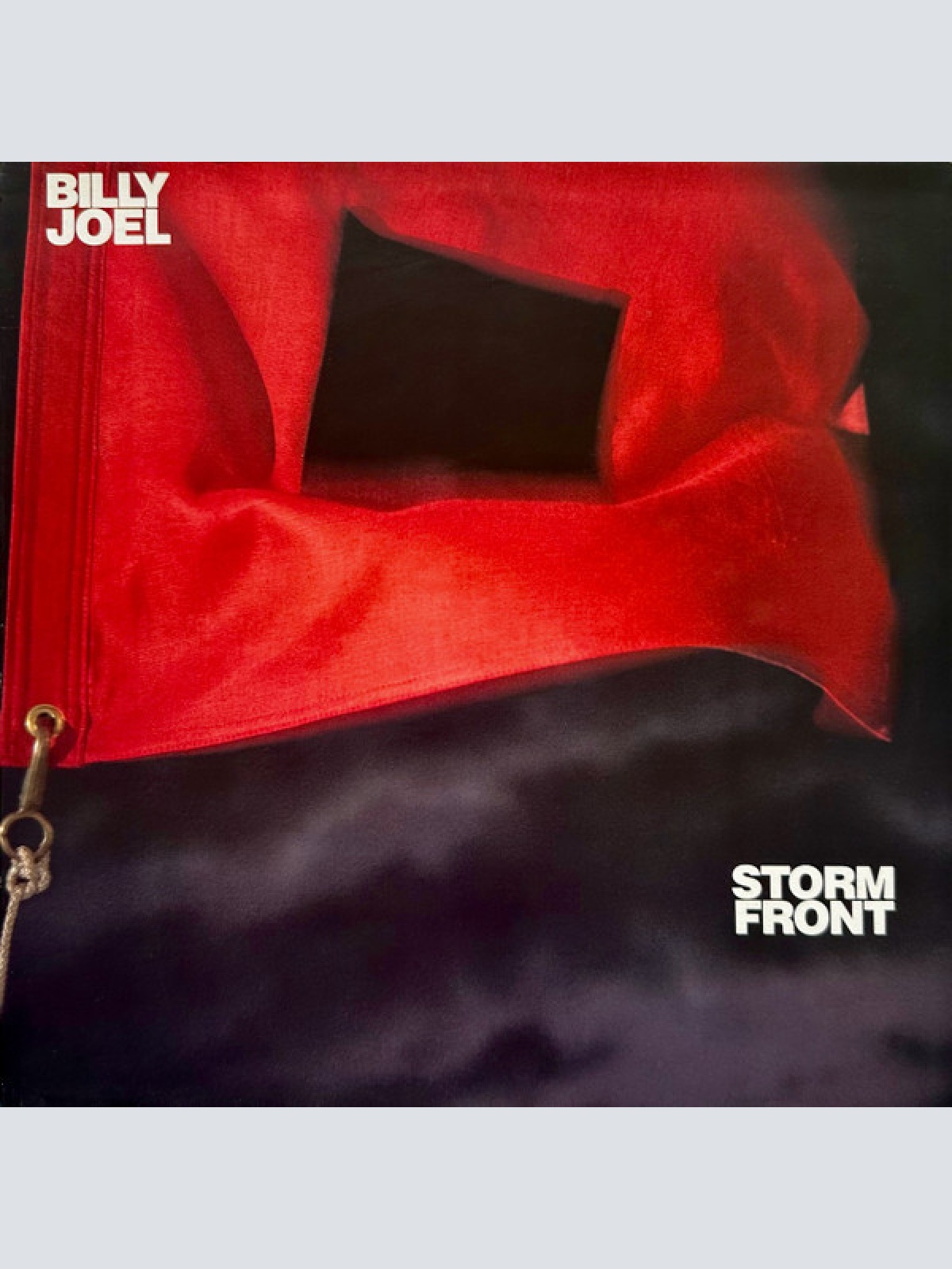 Vinyl / Billy Joel - Storm Front