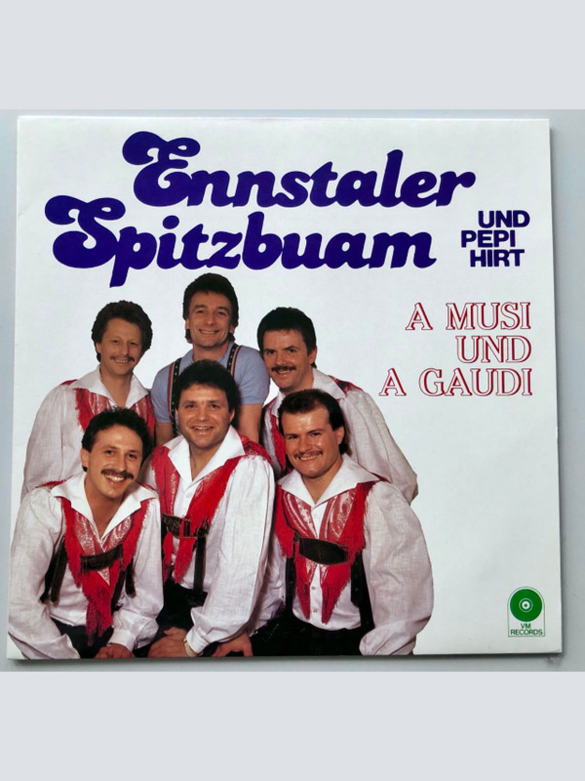 Vinyl / Ennstaler Spitzbuam* Und Pepi Hirt - A Musi Und A Gaudi
