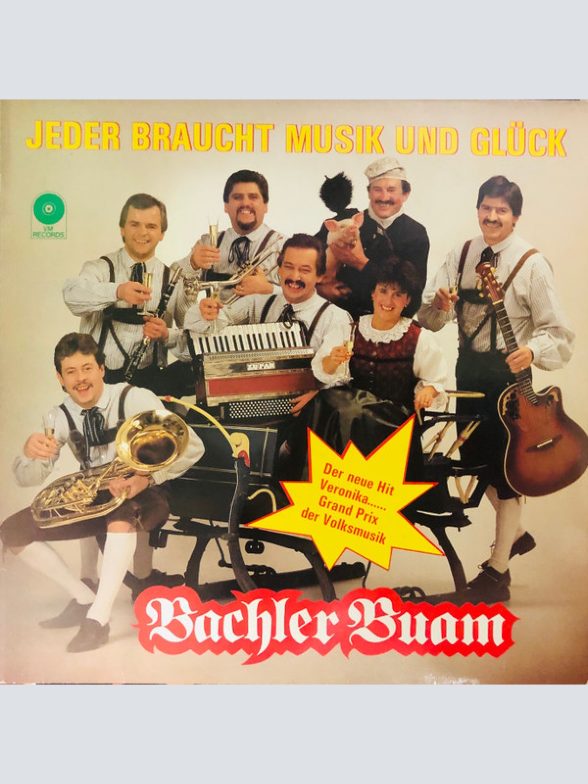 Vinyl / Bachler Buam - Jeder Braucht Musik Und Glück