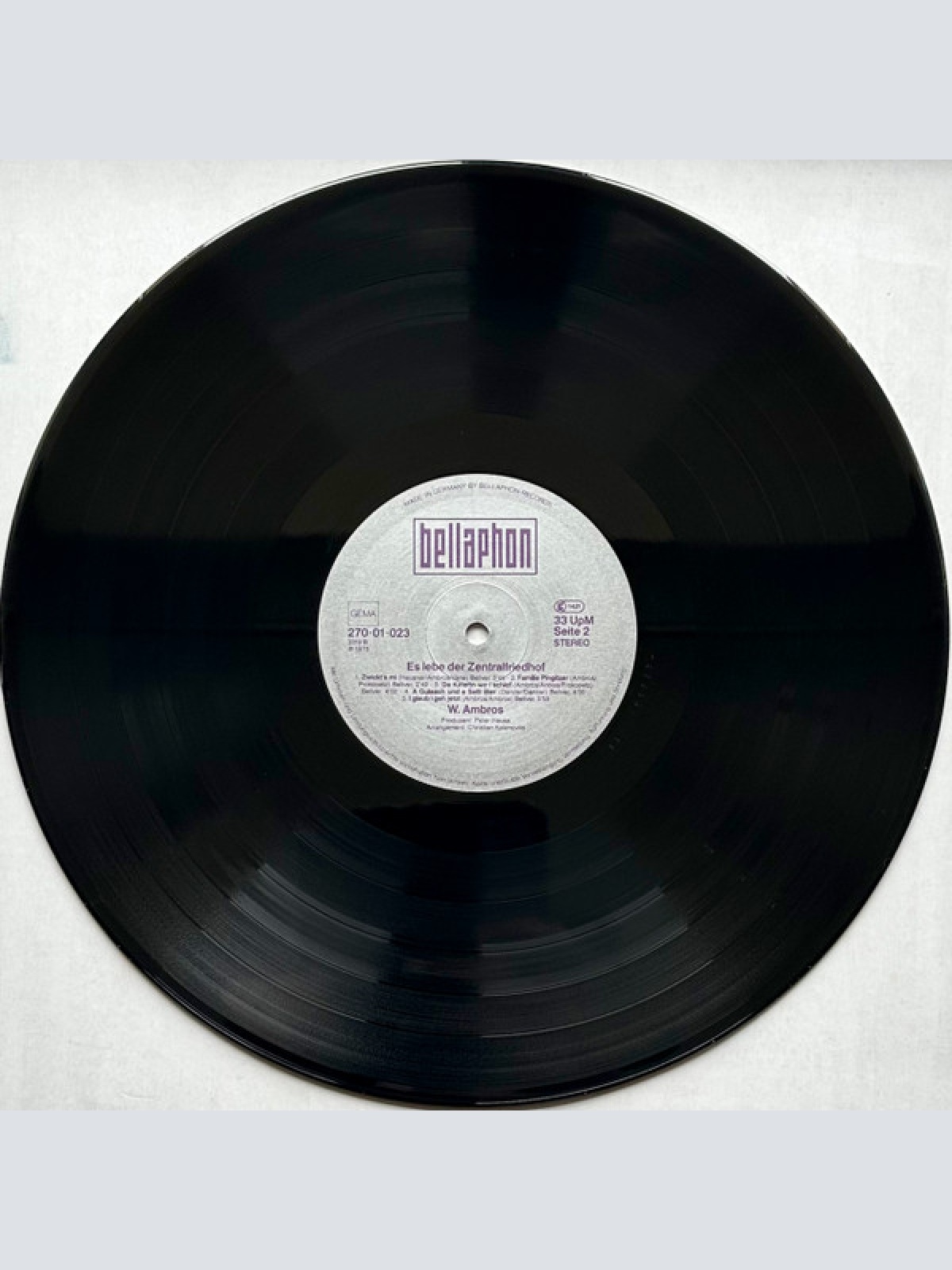 Vinyl / W. Ambros* - 1973-1983 Seine Größten Erfolge