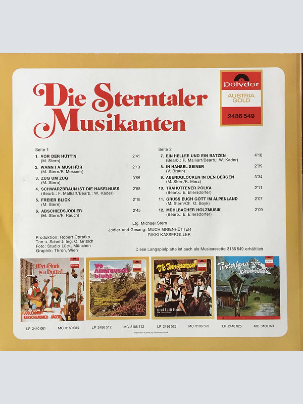 Vinyl / Die Sterntaler Musikanten - Die Sterntaler Musikanten