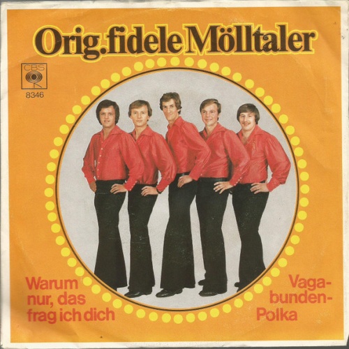 Vinyl / Orig. Fidele Mölltaler* - Warum Nur, Das Frag Ich Dich