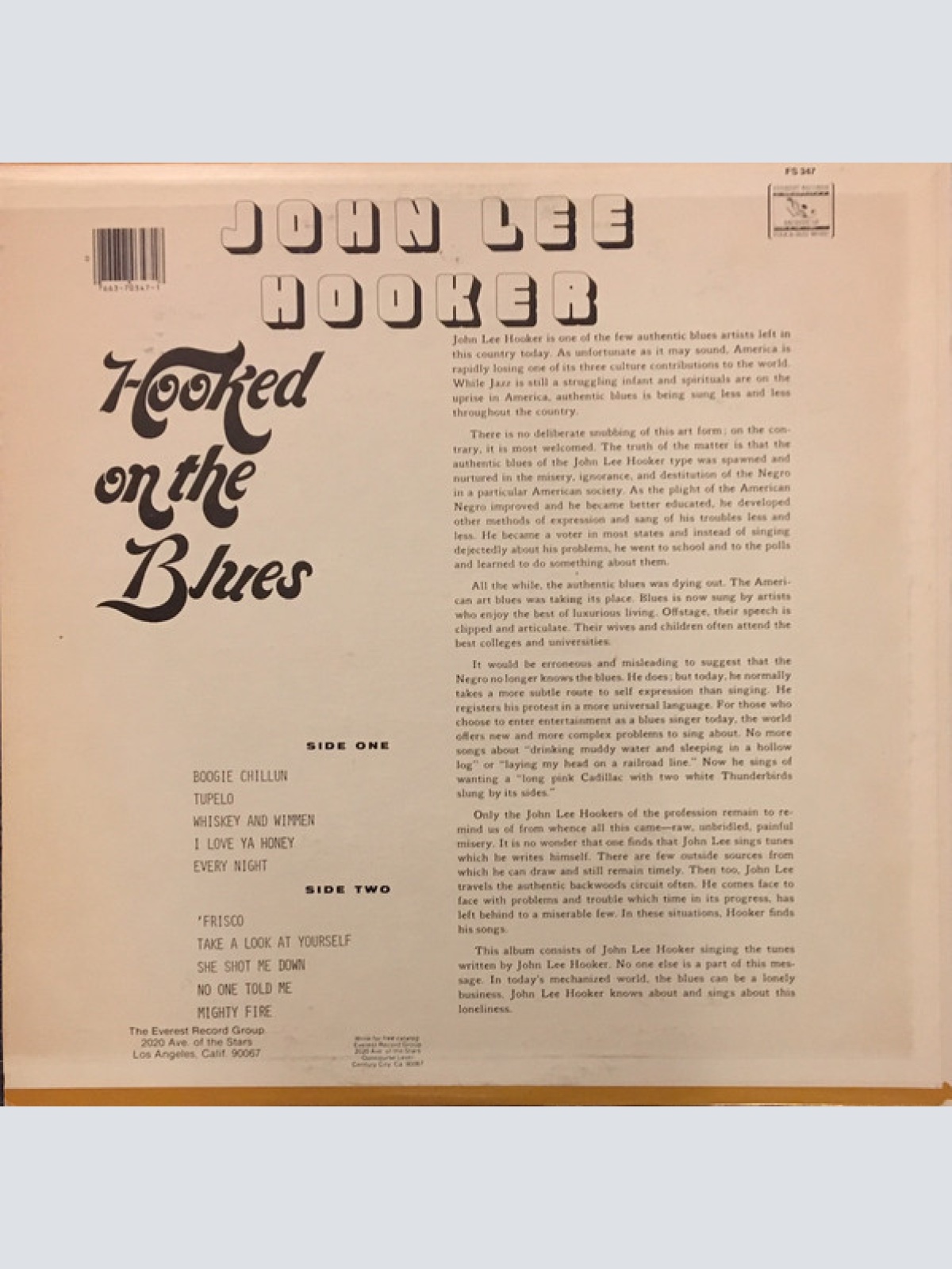 Vinyl / John Lee Hooker - Hooked On The Blues