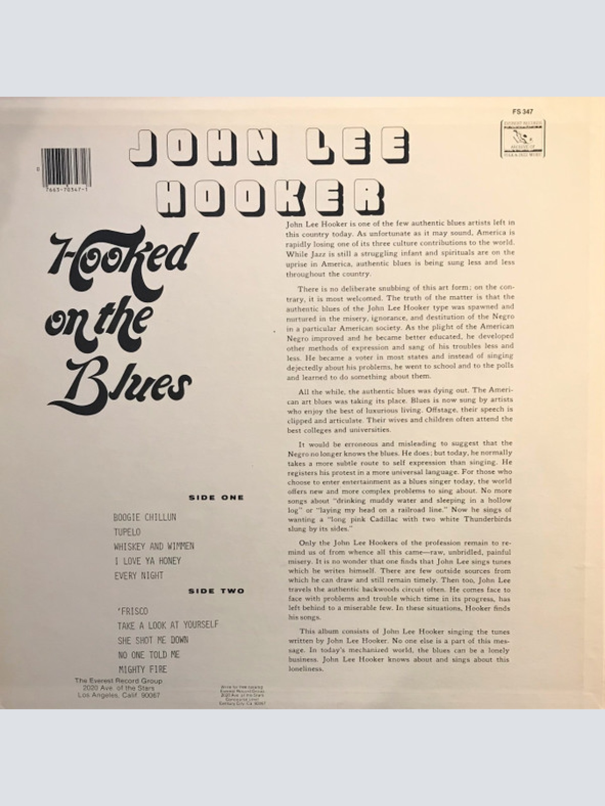 Vinyl / John Lee Hooker - Hooked On The Blues