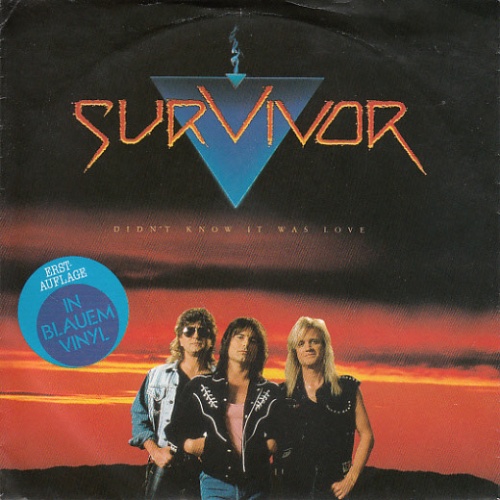 Vinyl / Survivor - Didn't Know It Was Love
