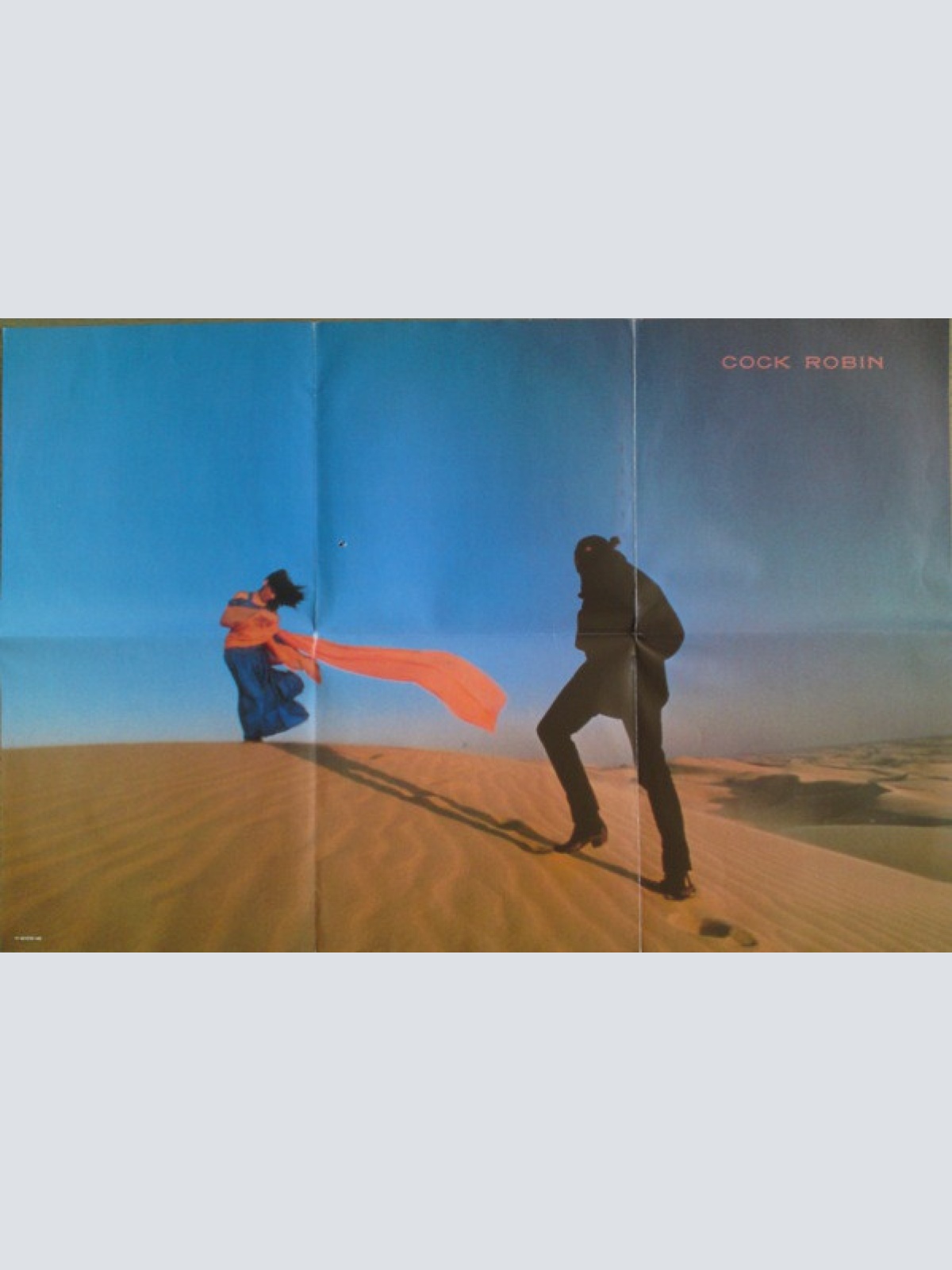 Vinyl / Cock Robin - The Biggest Fool Of All