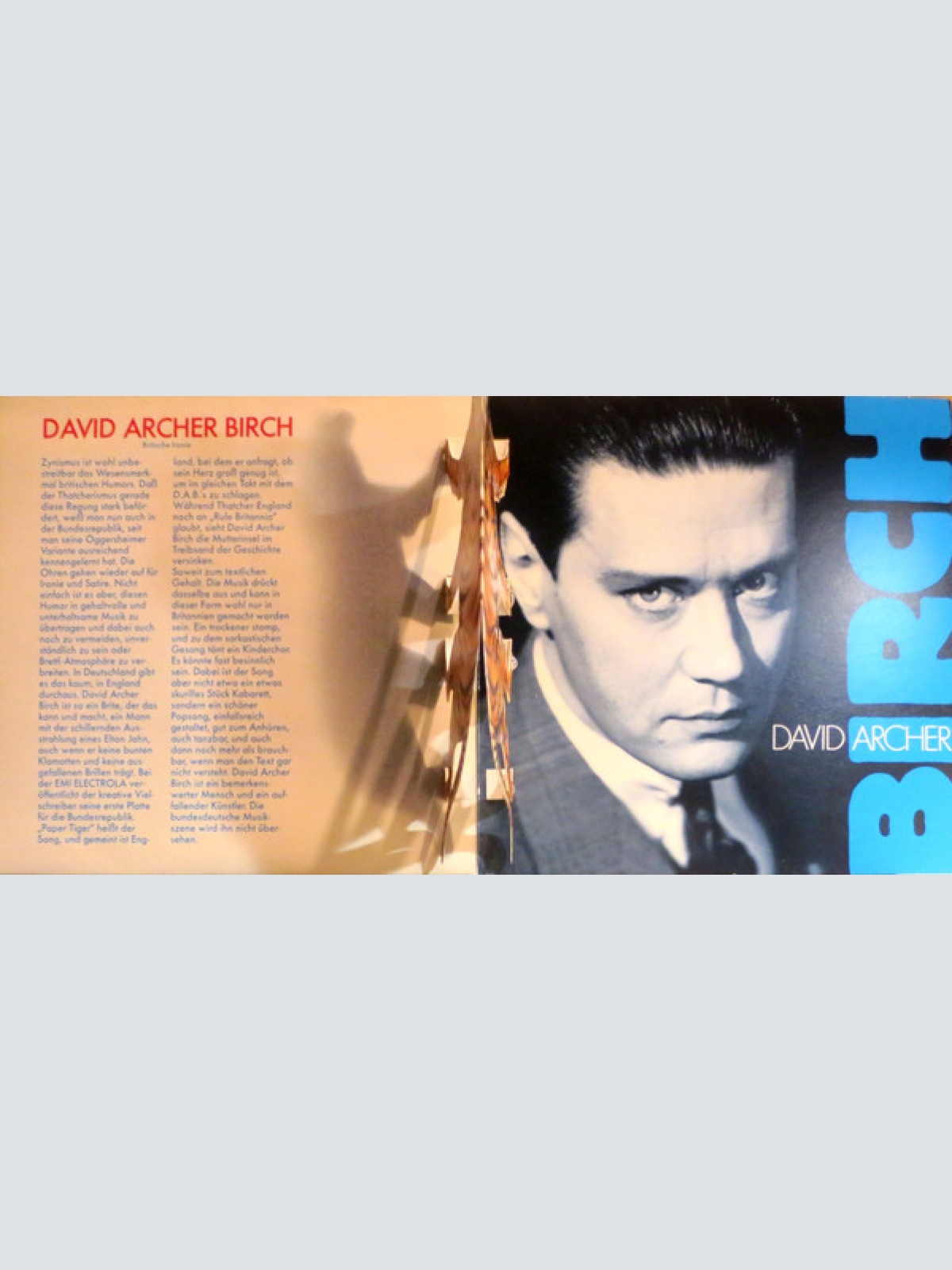 Vinyl / David Archer Birch - Paper Tiger