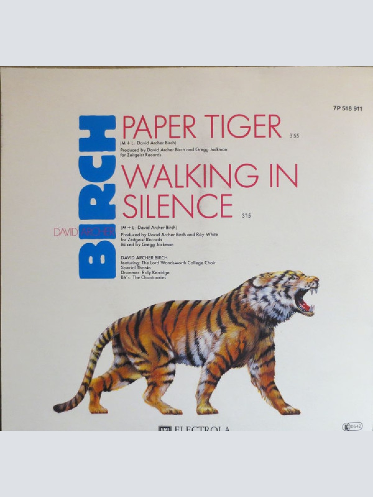 Vinyl / David Archer Birch - Paper Tiger