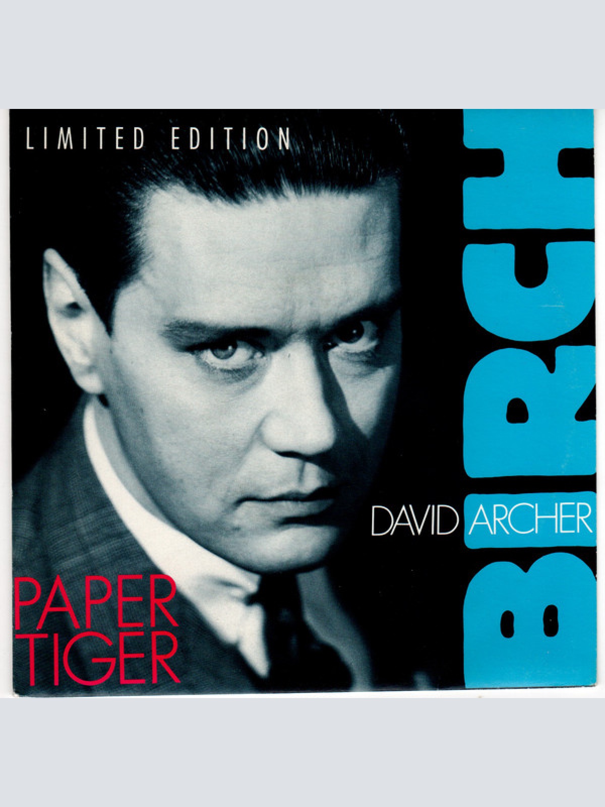 Vinyl / David Archer Birch - Paper Tiger