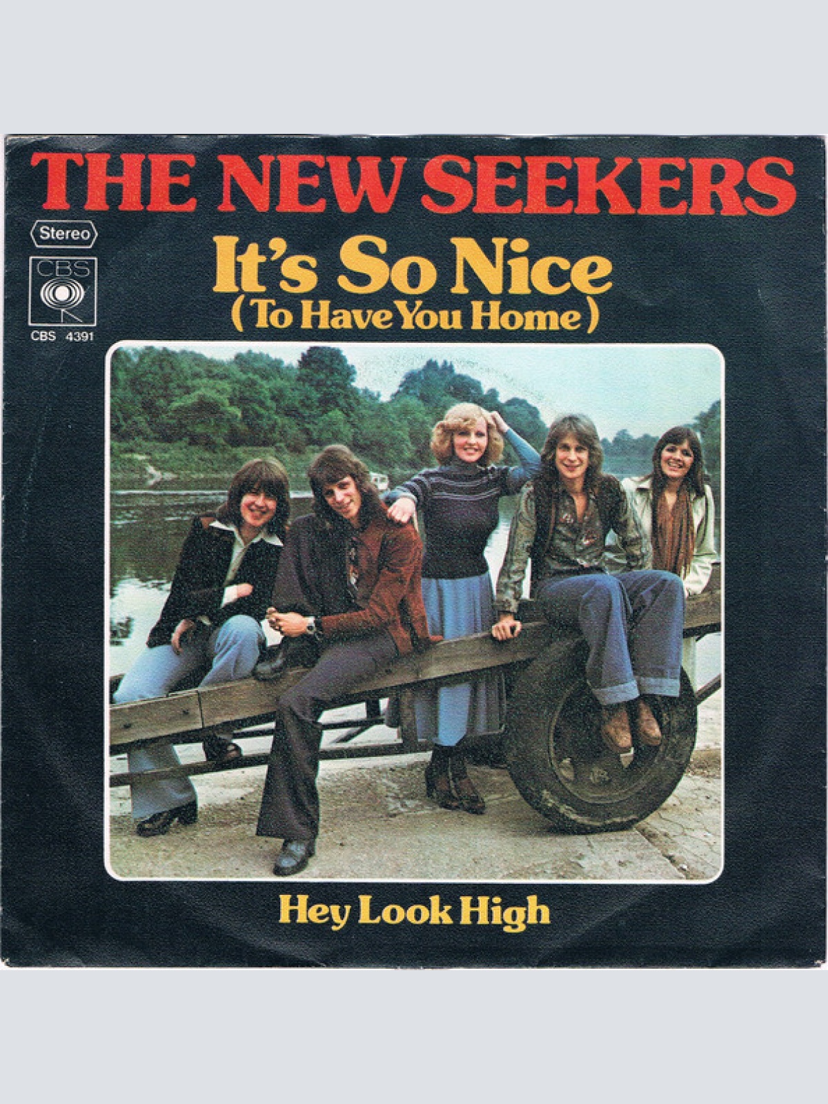 Vinyl / The New Seekers - It's So Nice (To Have You Home)