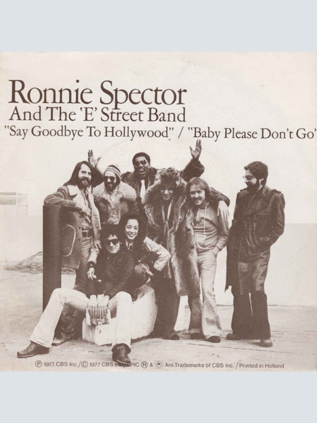 Vinyl / Ronnie Spector And The E-Street Band - Say Goodbye To Hollywood