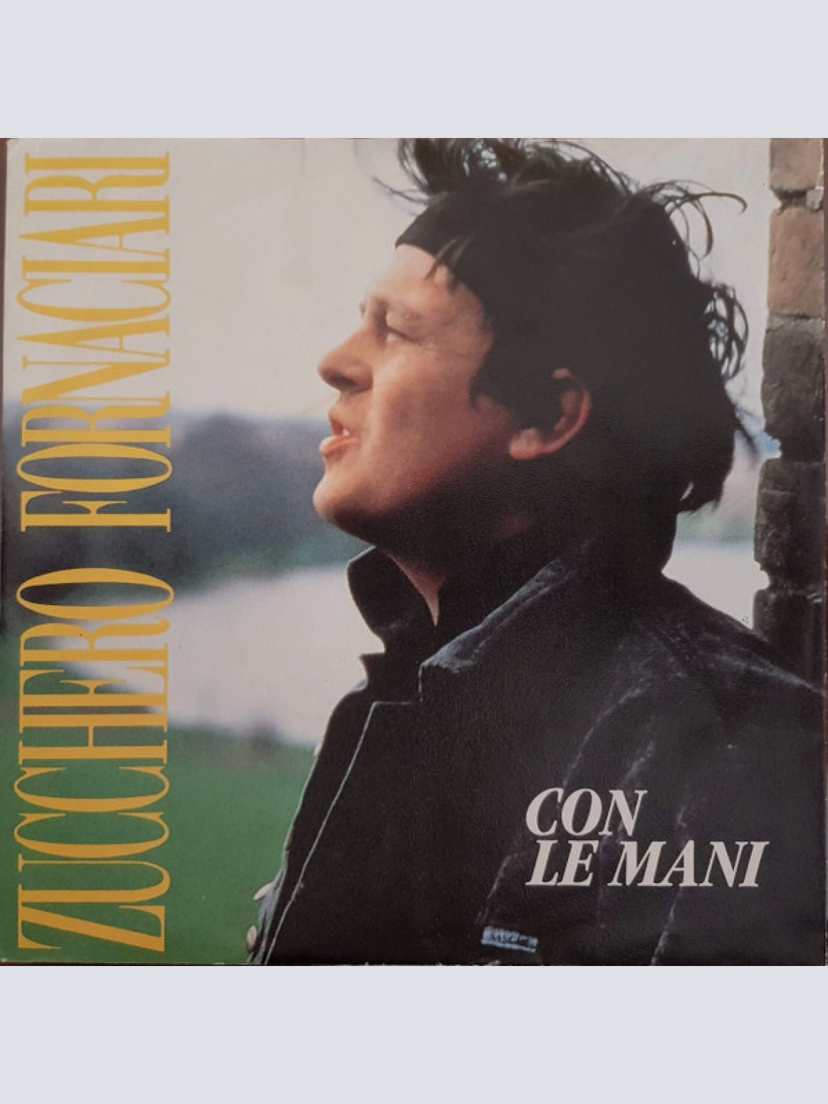 Vinyl / Zucchero Fornaciari* - Con Le Mani