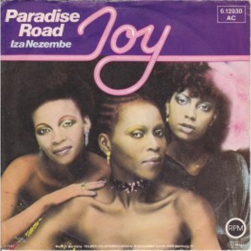 Vinyl / Joy (32) - Paradise Road