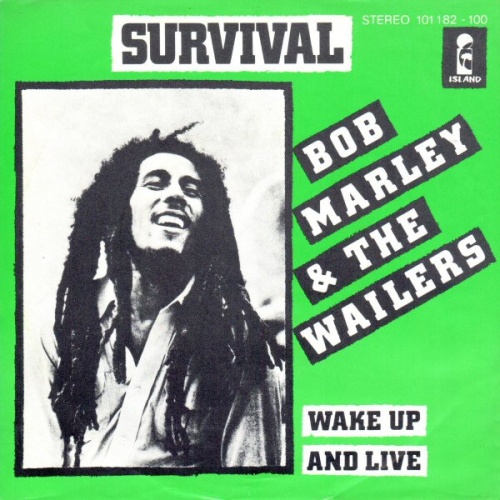 Vinyl / Bob Marley & The Wailers - Survival