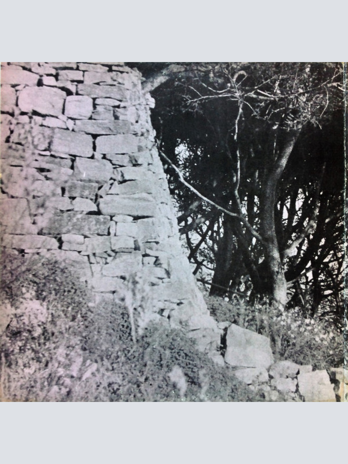 Vinyl / Sandro Giacobbe - Il Giardino Proibito