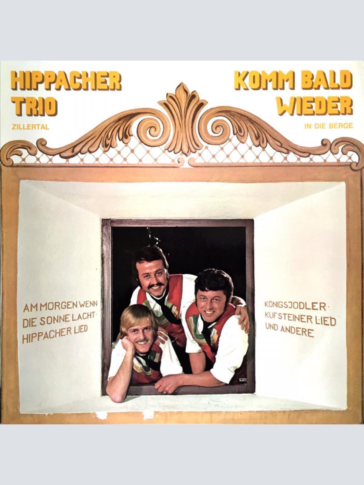 Vinyl / Hippacher Trio - Komm Bald Wieder