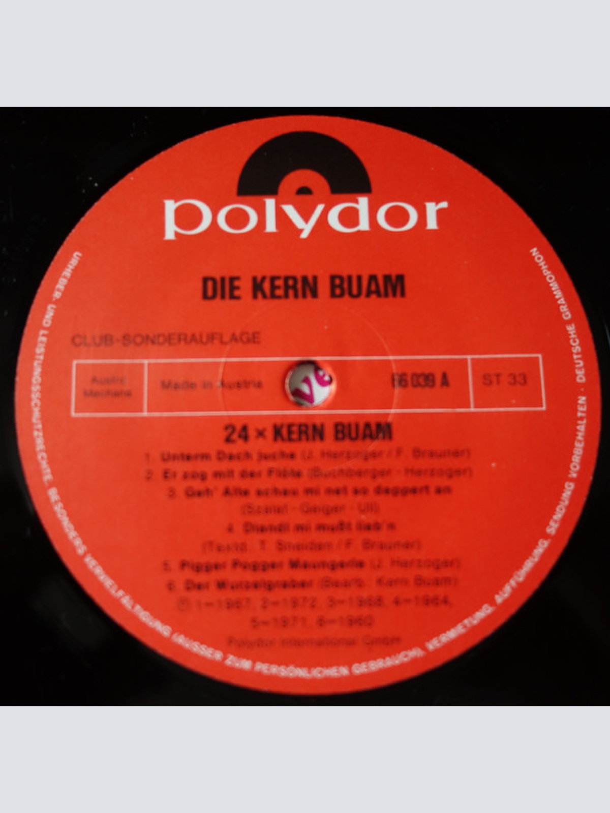 Vinyl / Die Kern Buam - 24 x Die Kern-Buam