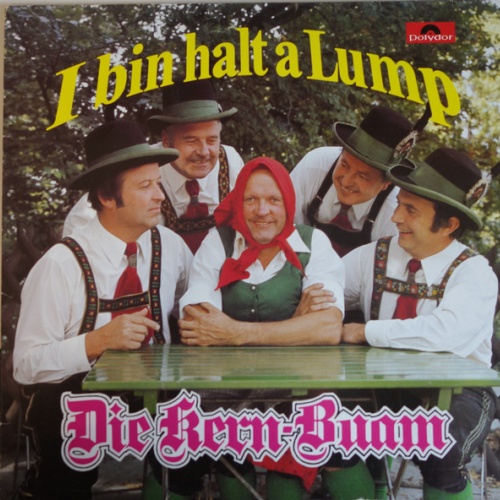 Vinyl / Die Kern Buam - I Bin Halt A Lump