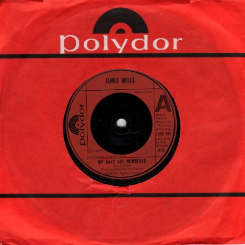 Vinyl / James Wells - My Days Are Numbered