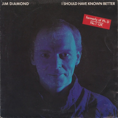 Vinyl / Jim Diamond - I Should Have Known Better