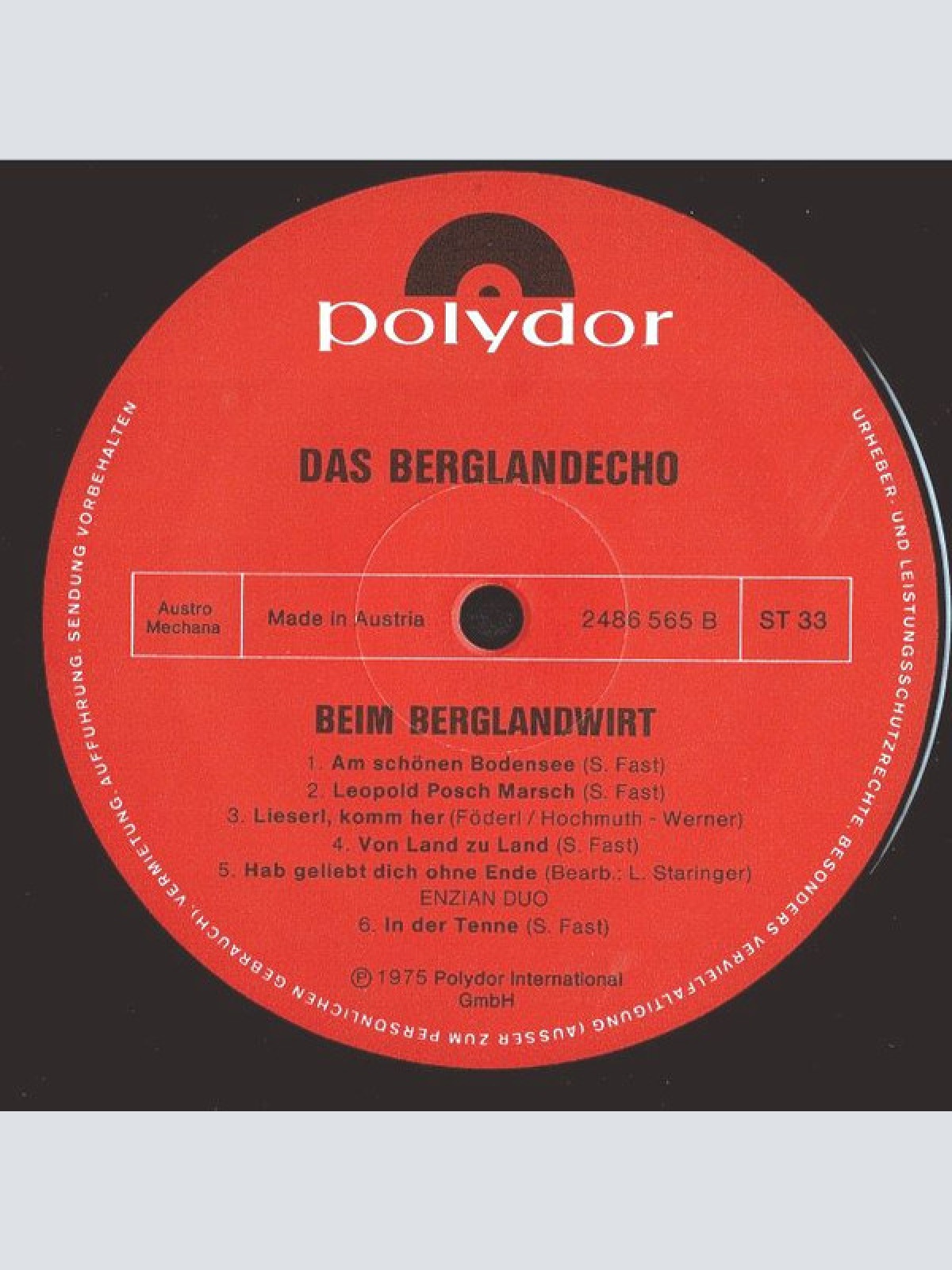 Vinyl / Das Berglandecho* - Beim Berglandwirt