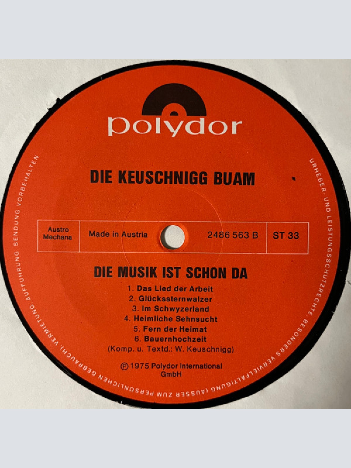Vinyl / Die Keuschnigg Buam* - Die Musik Ist Schon Da