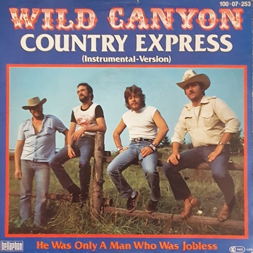 Vinyl / Wild Canyon - Country Express