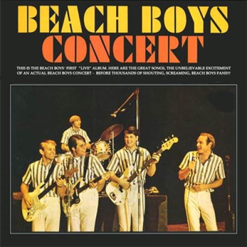 Vinyl / The Beach Boys - Beach Boys Concert