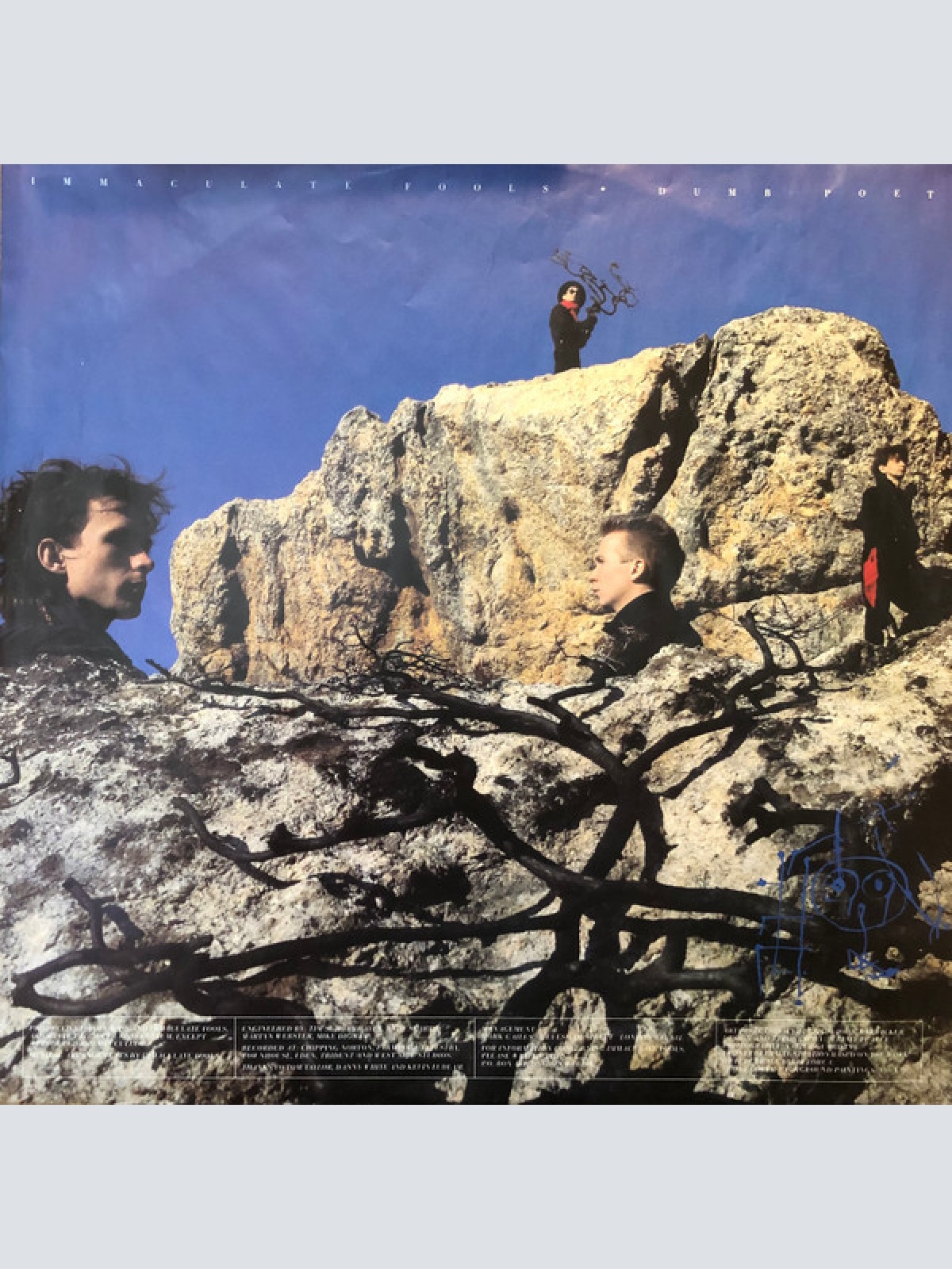 Vinyl / Immaculate Fools - Dumb Poet