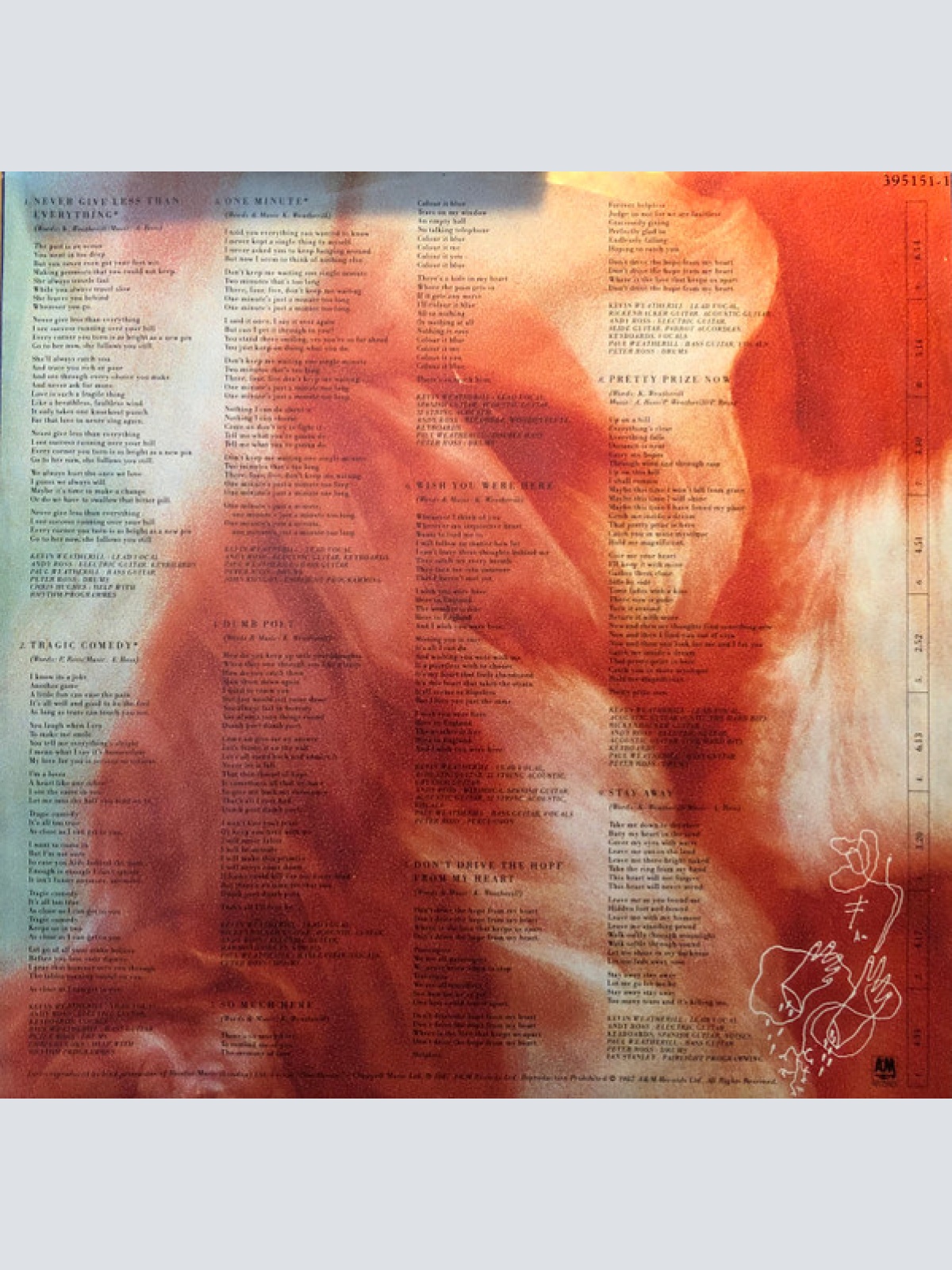 Vinyl / Immaculate Fools - Dumb Poet